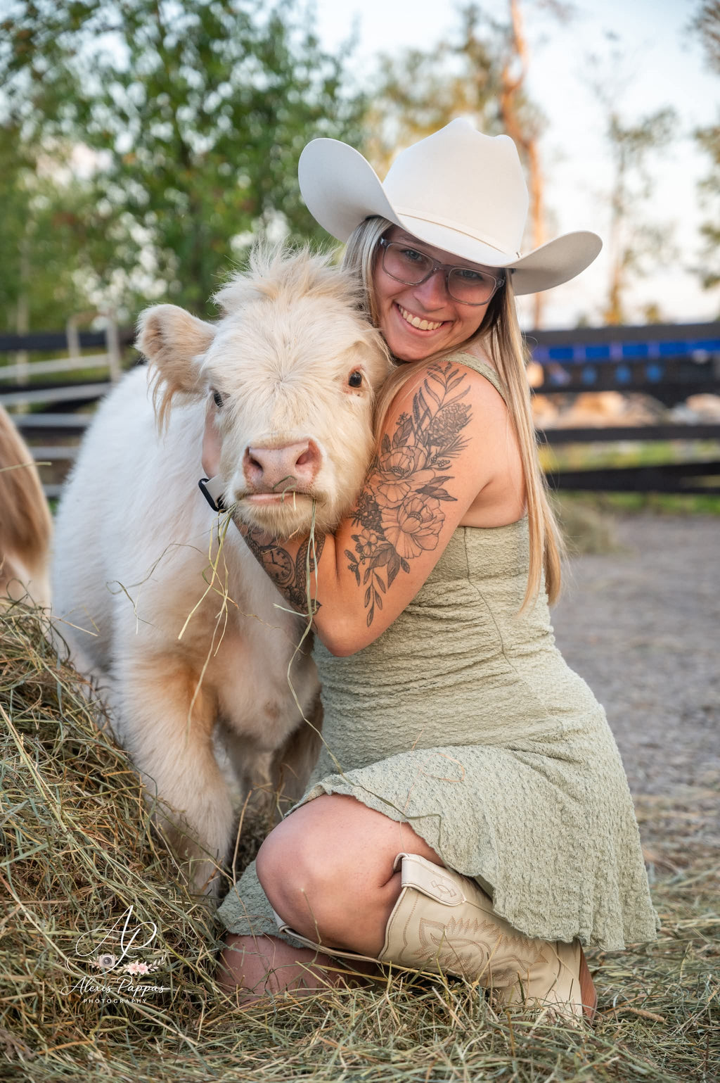 Mini Cow Meet & Greet