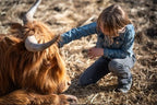 Mini Cow Meet & Greet