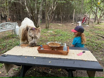 Private Farm Retreat Experience