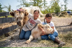 Private Farm Retreat Experience