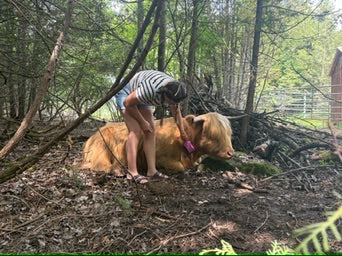 Private Farm Retreat Experience