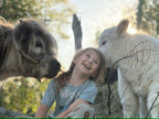Private Farm Retreat Experience