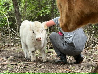 Private Farm Retreat Experience