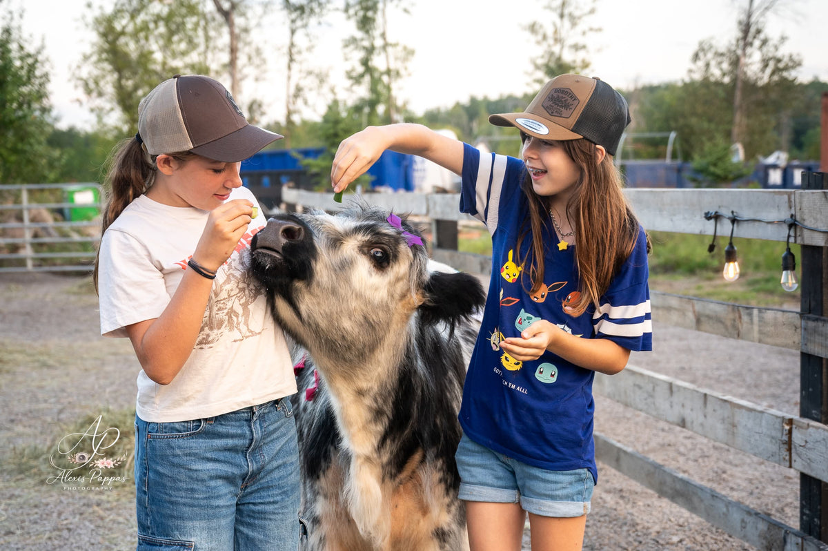 Mini Cow Meet & Greet