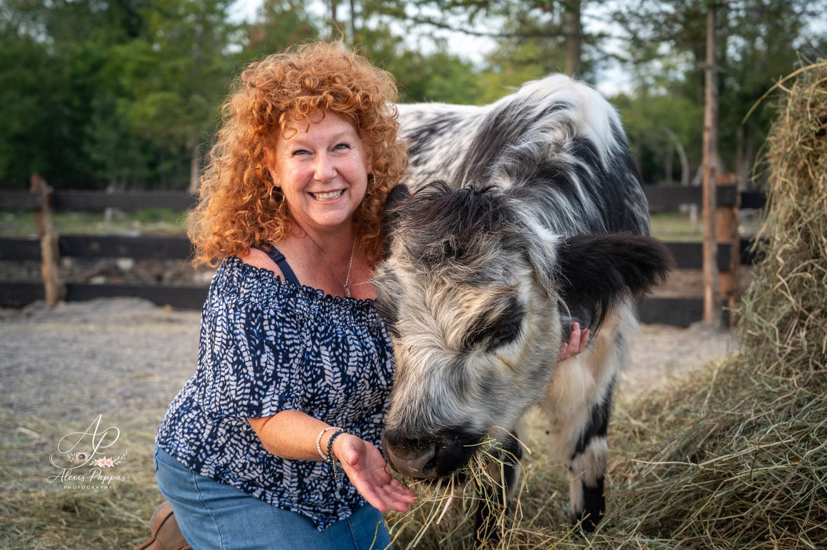 Mini Cow Meet & Greet