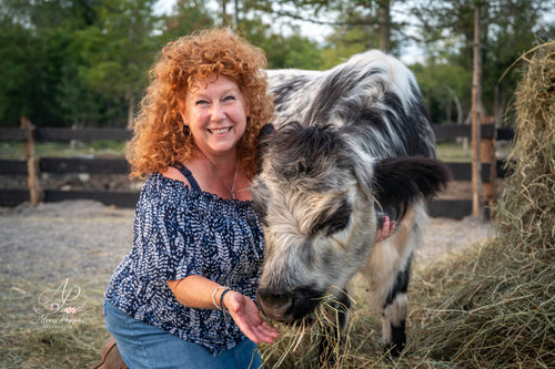 Mini Cow Meet & Greet