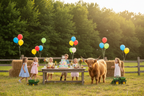 Private Farm Retreat Experience